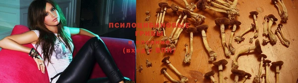 каннабис Богородск