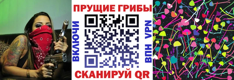 Галлюциногенные грибы Magic Shrooms  даркнет сайт  Майкоп 